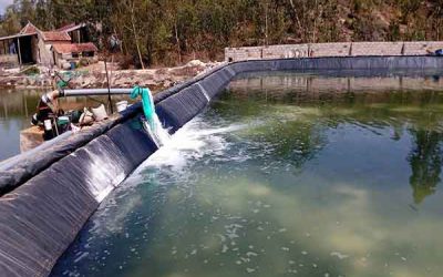 Phương Pháp Xử Lý Nước Cấp Được Áp Dụng Nhiều Nhất Hiện Nay Là Gì ?