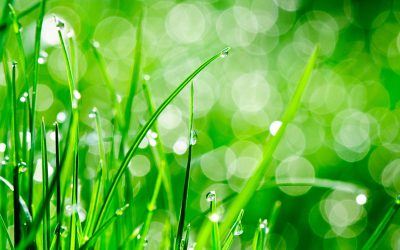 Các Loại Thiết Bị Phòng Sạch Chống Tĩnh Điện
